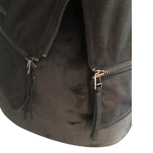 Pookie and Sebastian - Picture 3 of 10